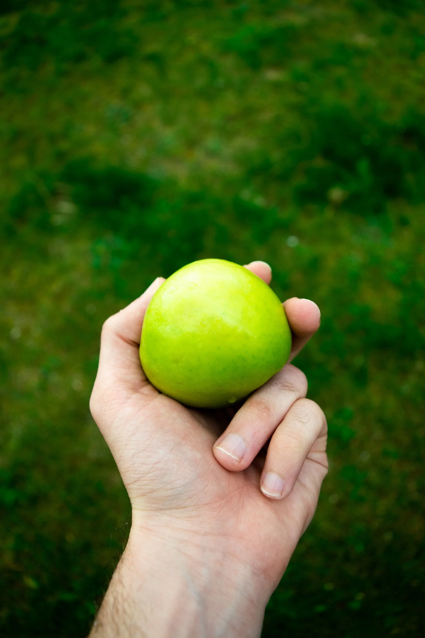 Person making conscious small daily choices to shift towards an internal locus of control